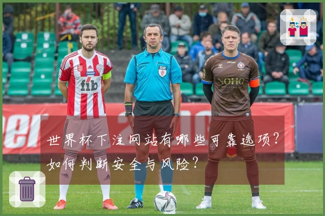 世界杯下注网站有哪些可靠选项？如何判断安全与风险？