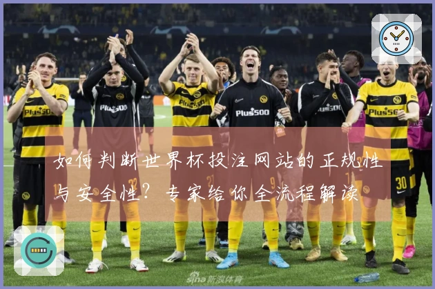 如何判断世界杯投注网站的正规性与安全性？专家给你全流程解读