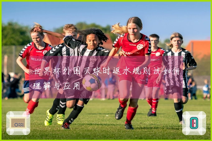 世界杯外围买球时返水规则该如何理解与应用