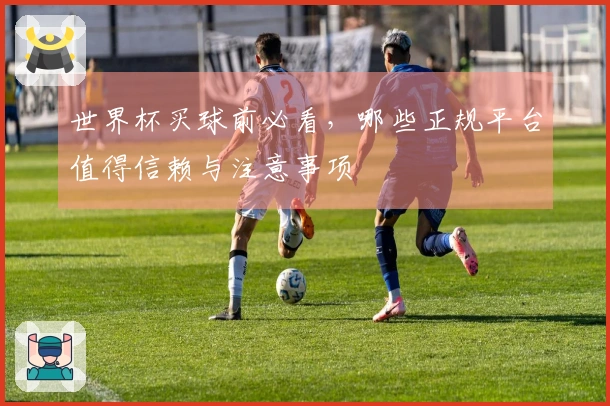 世界杯买球前必看，哪些正规平台值得信赖与注意事项