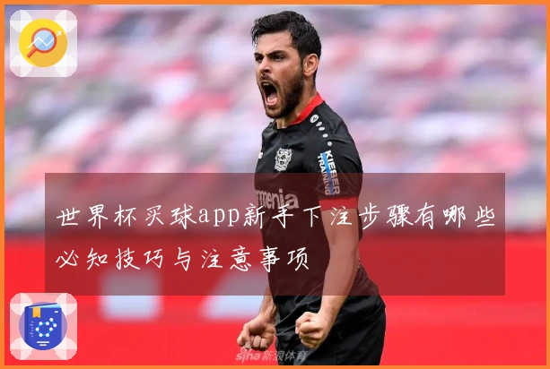 世界杯买球app新手下注步骤有哪些必知技巧与注意事项