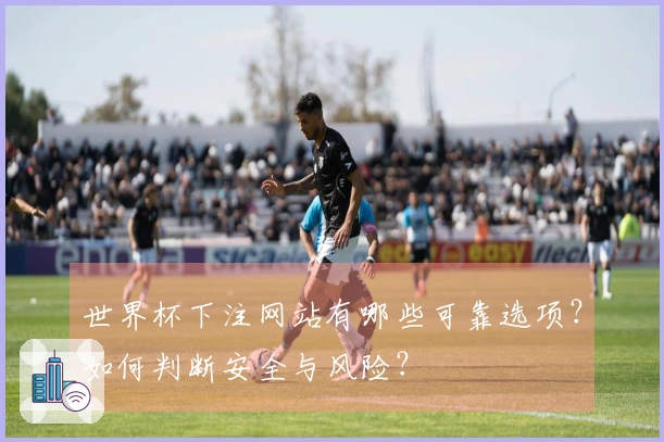 世界杯下注网站有哪些可靠选项？如何判断安全与风险？