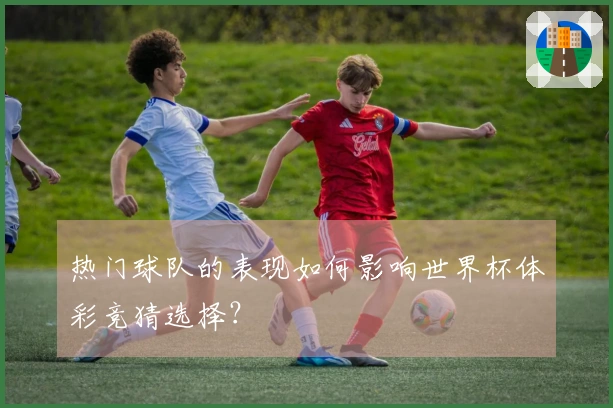 热门球队的表现如何影响世界杯体彩竞猜选择？