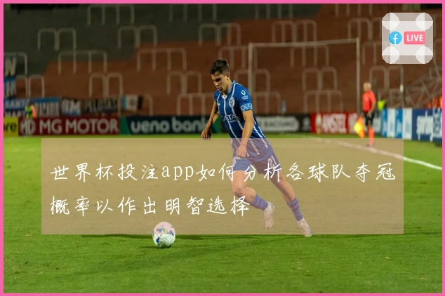 世界杯投注app如何分析各球队夺冠概率以作出明智选择